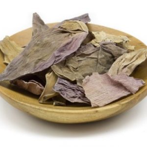 Lotus Flower Organic (Sacred)